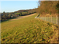 Pasture, Chesham