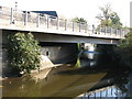 The River Ravensbourne south of Elverson Road DLR station (3)