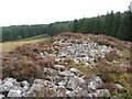 NS4581 : The Lang Cairn: view from western end by Lairich Rig