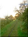 Path from Broome Manor Lane to Broome Manor Golf Complex