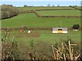 Fields near Ugborough