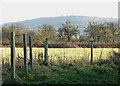 December day on Leckhampton Hill