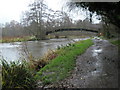 Bridge leaving Shalford Park as seen from the west bank