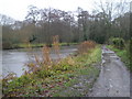 Looking south on footpath from Guildford to Shalford Path