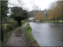 SU9948 : Looking towards Guildford from the riverside path near Quarry Street by Basher Eyre