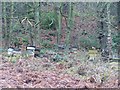 Beehives, Langsett Road South, Oughtibridge