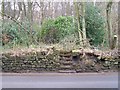 Mystery Steps, Langsett Road South, Oughtibridge