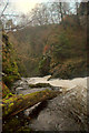 Slug of Auchrannie waterfall