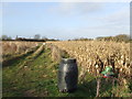 Bird feeding area