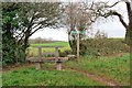 Bench and footpath - Marldon