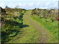 Track onto moorland