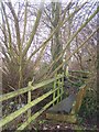 Small Footbridge near Willow Tree