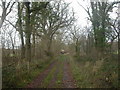 Hampreston, farm entrance