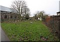 St Nicholas Church, Dereham, Norfolk - Churchyard