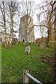 Bell Tower, Dereham, Norfolk