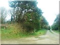 The lane leading to East and West Honey Hook Farms