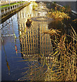 Reflection of Civic Centre, Enfield