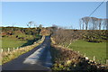 Minor road leading to Montfode Farm