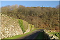 Minor road leading to Boydston Farm