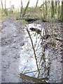 Footpath in Merrow Common