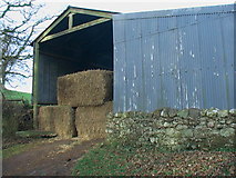 NU0221 : Barn at Roseden farmyard by ian shiell