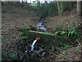 NU0221 : Mini dam in stream next to Roseden track by ian shiell