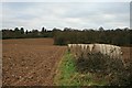 Towards Frith Park