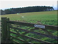 Gateway to pasture near Roddam Rigg