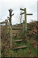 Steps and stile at Heath Farm