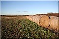 Straw bales