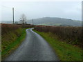 Lon gul ger Gellideg / Narrow lane near Gellideg