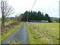 Ger Blaen y cwm / Near Blaen y cwm