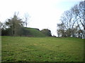 Hen Domen castle mound