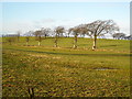 Fields Beside High Cleughearn Road