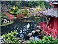 Japanese Garden, Compton Acres