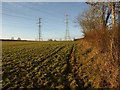 Pylons near Sparkwell