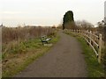 River Trent path