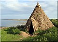 NU2516 : Reconstructed Mesolithic round-house by Andrew Curtis