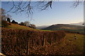 Towards Coed Fenni-fach