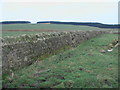 NU1523 : Masonry wall near Old Middlemoor by ian shiell