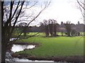 Waveney Meanders and Hoxne Church