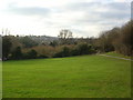 Flood Meadows, Alton, general view