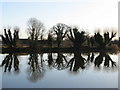 Cheshunt North Reservoir - Winter Reflections