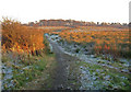 Auchengree Farmland Trail