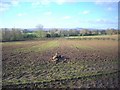 Ploughed field near the Preston Brook