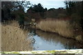 Lunan Water taken east from Lunan Bridge