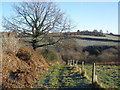 Track, above Bridford Wood