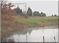 Pond on the golf course