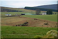 Upper Balgray Farm, Pearsie