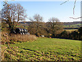 View towards the Forest of Dean